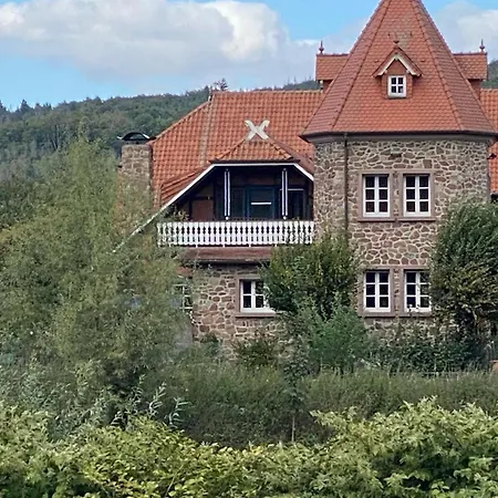 Ruhr-wald-blick Arnsberg