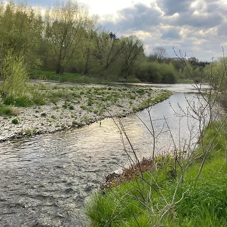 Ruhr-wald-blick