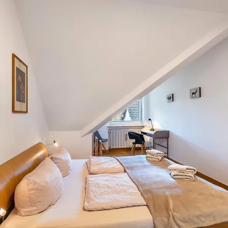 Ruhr-wald-blick Arnsberg