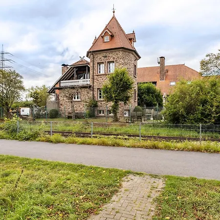 Ruhr-wald-blick *
