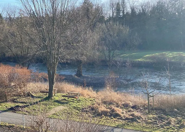 Ruhr-wald-blick Arnsberg