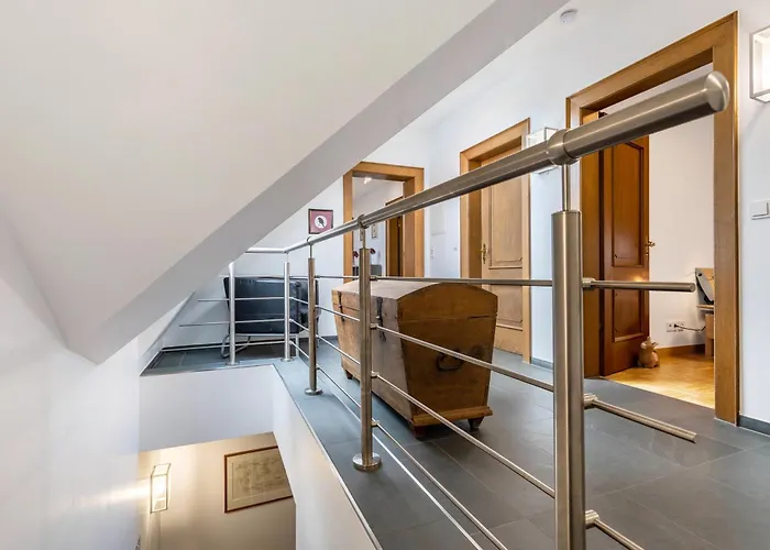 Ruhr-wald-blick * Arnsberg