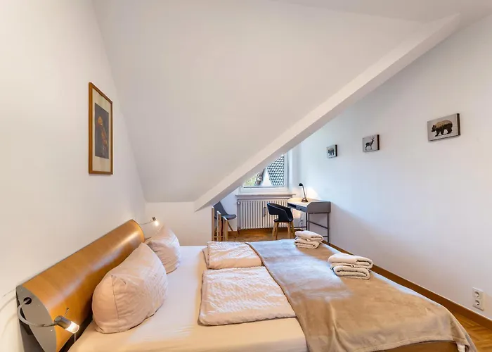 Ruhr-wald-blick Arnsberg