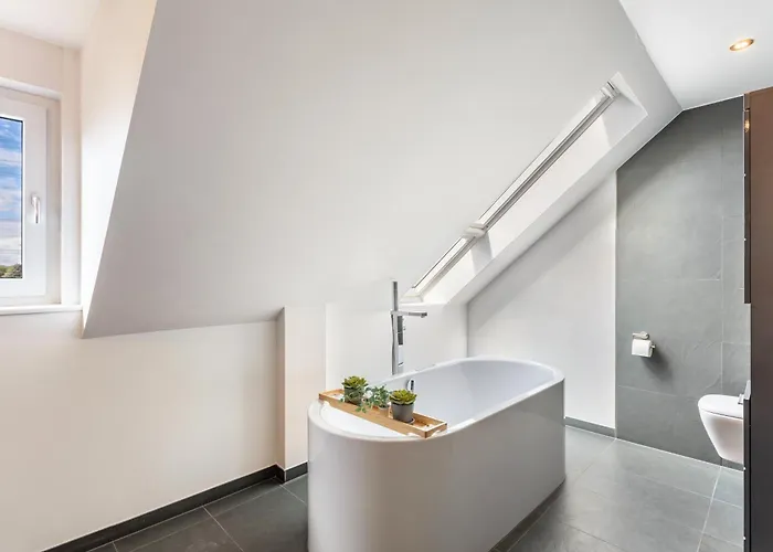 Ruhr-wald-blick * Arnsberg