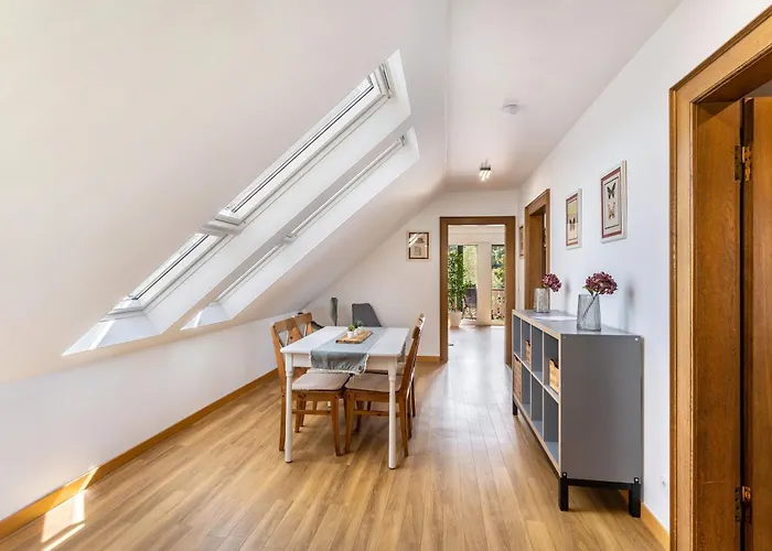 Ruhr-wald-blick Arnsberg